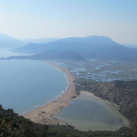 Dalyan Palmiye Resort Hotel Εξωτερικό φωτογραφία