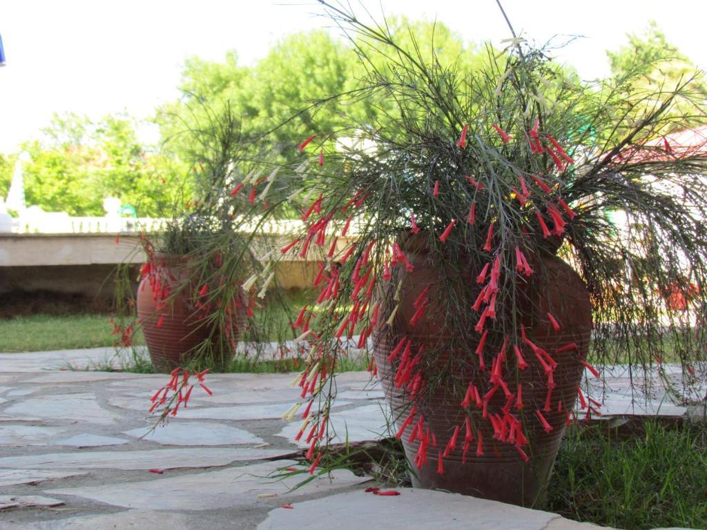 Dalyan Palmiye Resort Hotel Εξωτερικό φωτογραφία