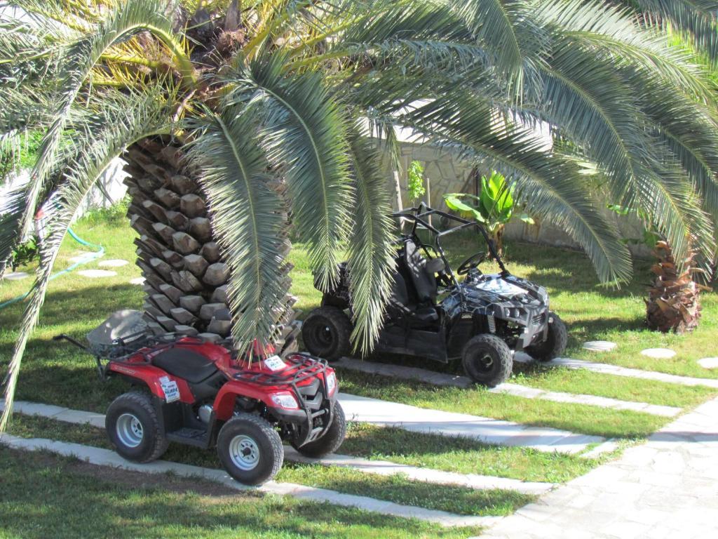 Dalyan Palmiye Resort Hotel Εξωτερικό φωτογραφία
