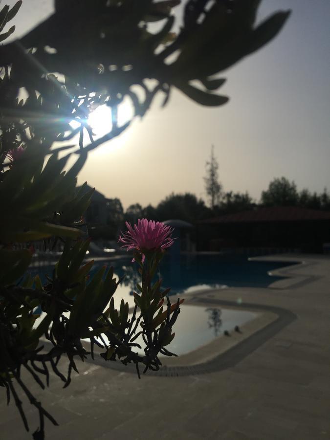 Dalyan Palmiye Resort Hotel Εξωτερικό φωτογραφία